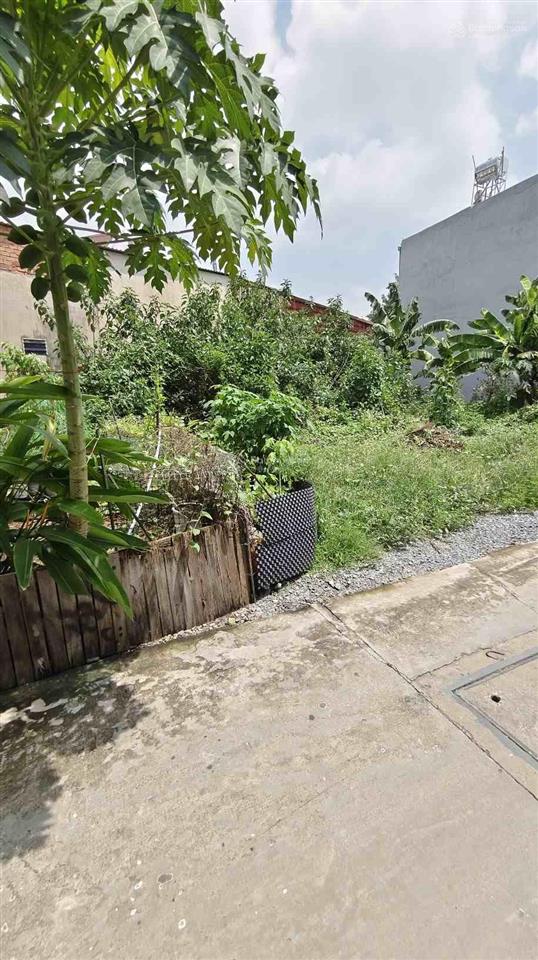 Đất thổ cư đường xe hơi thông  sát mặt tiền đặng thúc vịnh gần sân thới tứ 95m2 chỉ 2.85 tỷ.