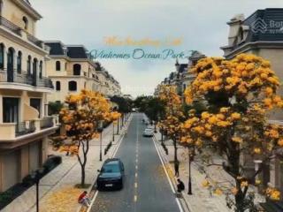 Giảm 2 tỷ siêu phẩm kinh đô 84m ngay cạnh vincom chỉ 10,5 tỷ tại vinhomes ocp2
