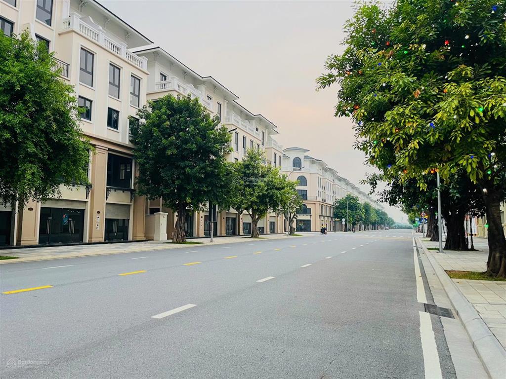 Giá sốc 9,3 tỷ shophouse 75m mặt đại lộ hừng đông, vị trí vàng đón dòng khách