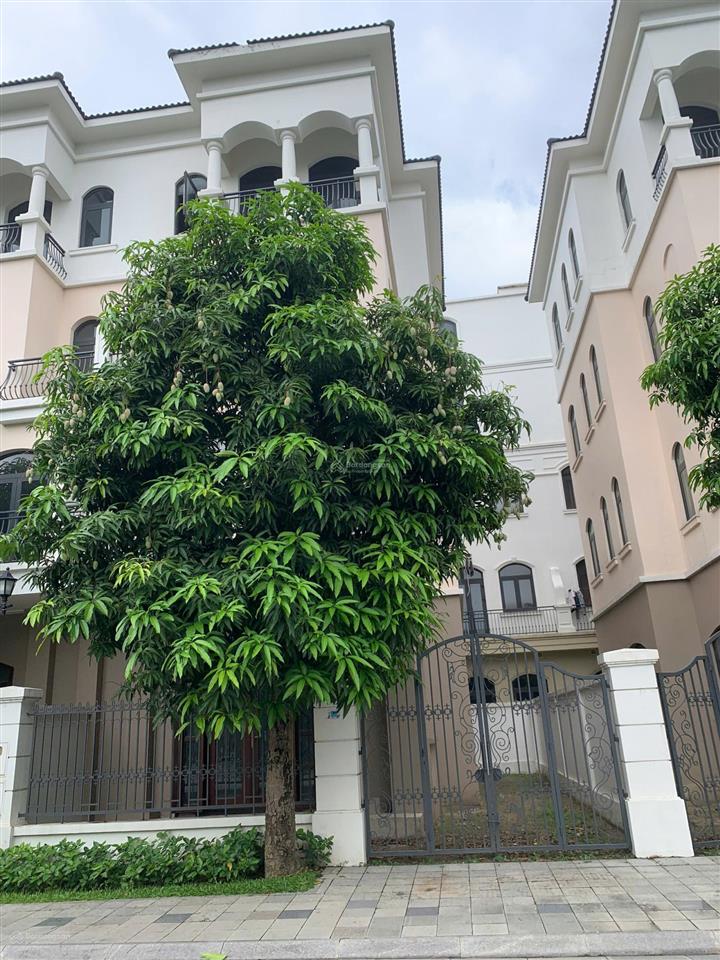 Cắt lỗ sâu, giá chạm đáy xẻ khe cọ xanh 87,5m chỉ 9 tỷ  giá quá hời tại vinhomes ocean park 2