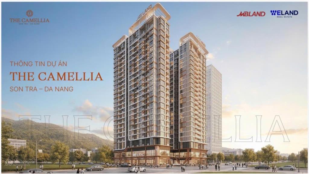 Chính thức nhận booking the camellia sơn trà  đà nẵng, view trực diện biển sơn trà