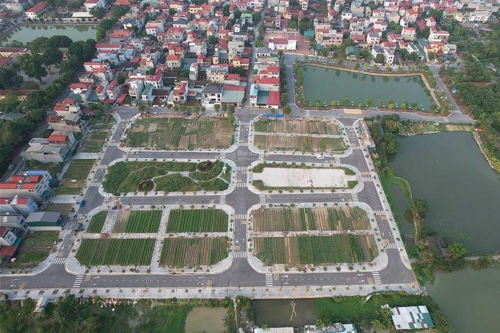 Bán đất đấu giá x6 hà lỗ, liên hà, đông anh cạnh vin liên hà