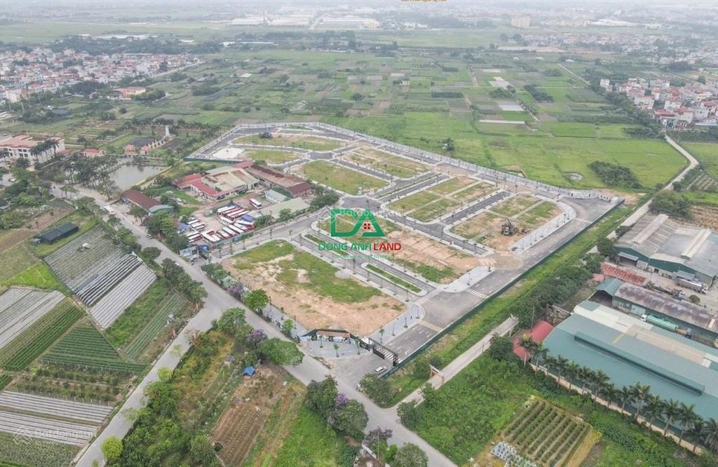 Bán đất tái định cư đông nam cổ dương, tiên dương, đông anh mặt đường 40m kinh doanh