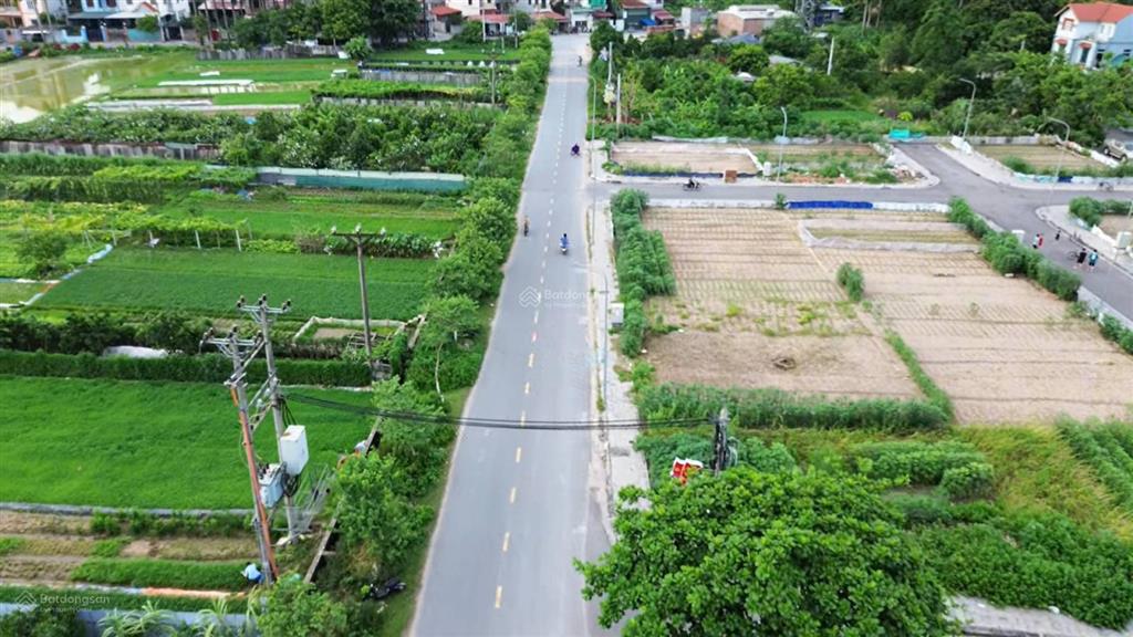 Bán đất đấu giá x1 thọ đa kim nỗ đông anh (thiên lộc) gần đầm vân trì
