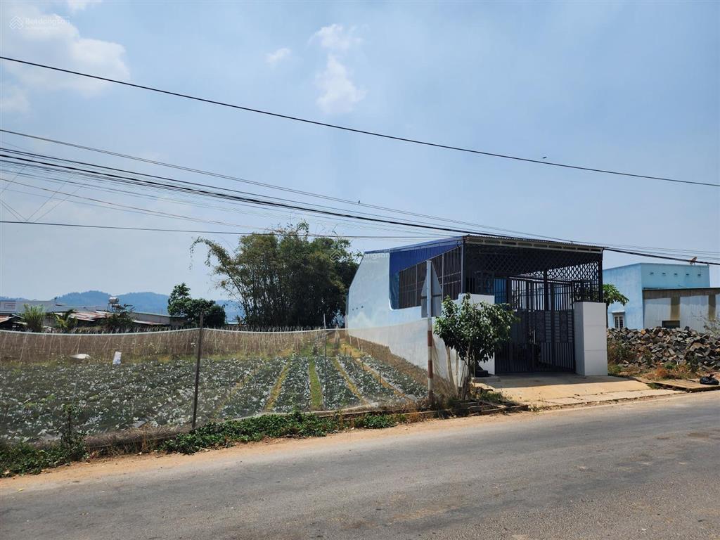 Chính chủ cần bán lô đất mặt tiền đường phú trung , phú hội ,đức trọng.(giá thiện chí nhất khu vực)