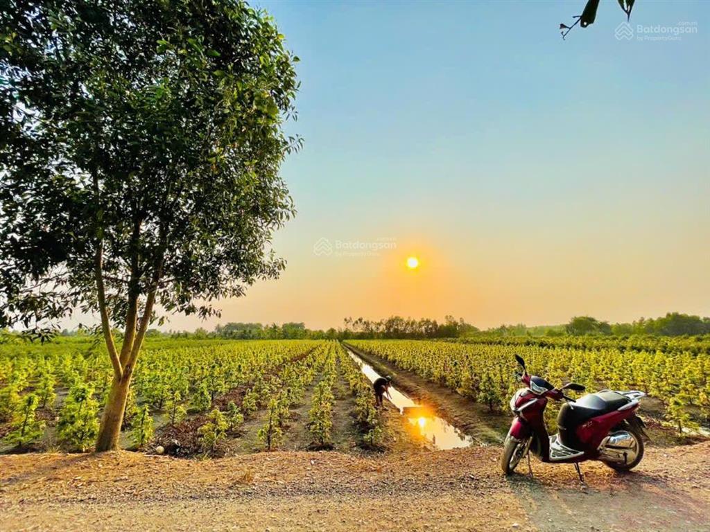 Bán đất kênh số 3, vườn thơm, 10.527 m2, chính chủ, cửa ngõ cụm kcn lớn