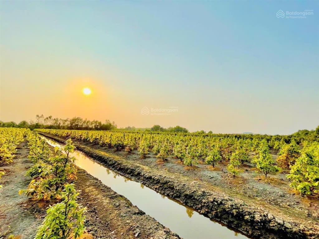 Bán đất kênh số 3, vườn thơm, 10.527 m2, chính chủ, cửa ngõ cụm kcn lớn