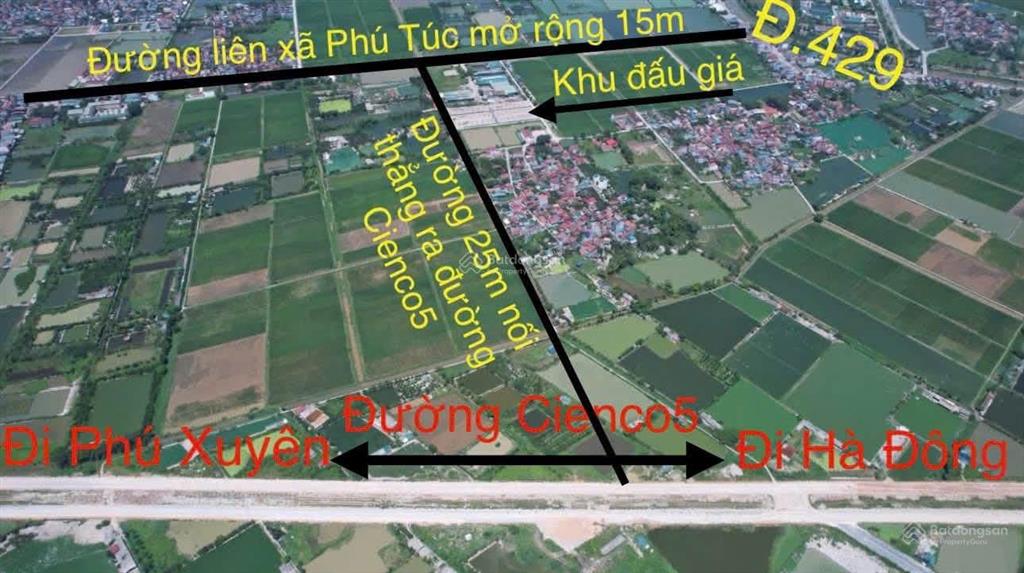 Bán đất đấu giá thôn đường la, phú túc, xã phựợng dực phú xuyên hà nội