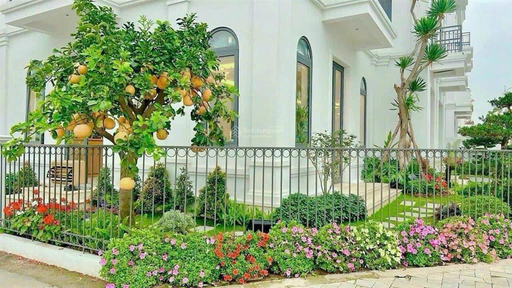 Bán biệt thự gần bv nhi 2hn giá chỉ 160 triệu/m2