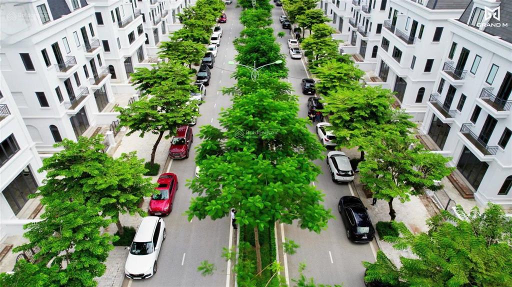 Bán biệt thự gần bv nhi 2hn giá chỉ 160 triệu/m2