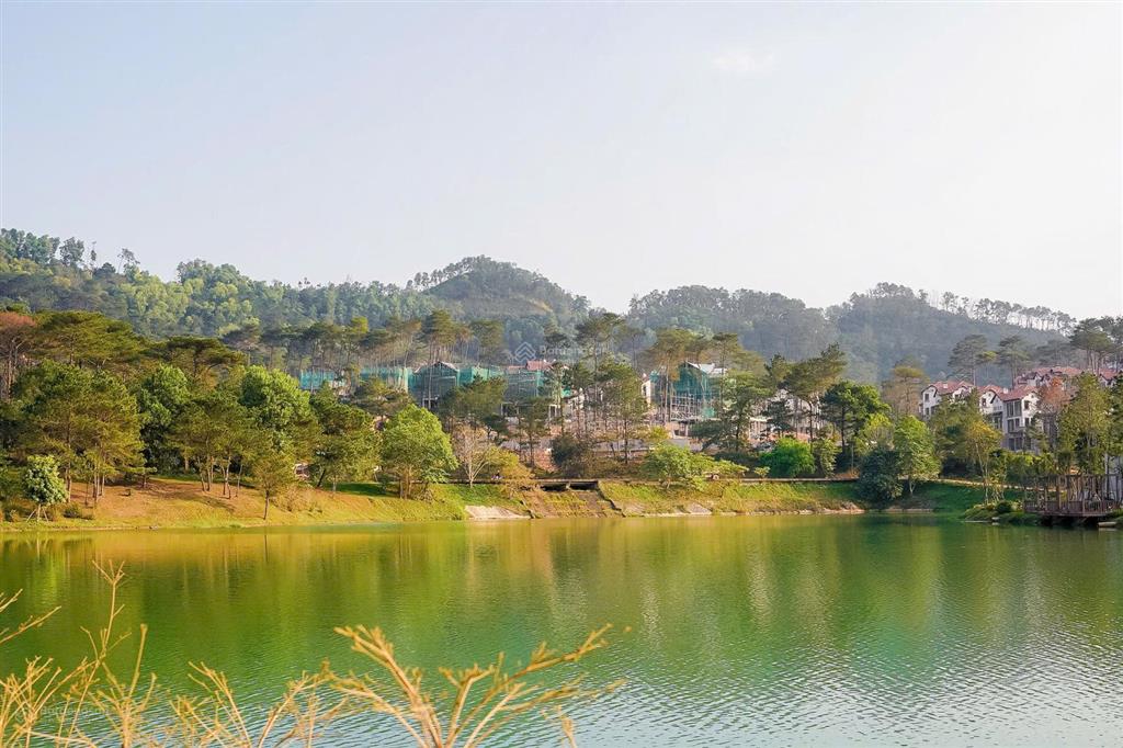 Camellia residences thanh xuân  biệt thự nghỉ dưỡng khoáng nóng hiếm tại vĩnh phúc giá 16 tỷ