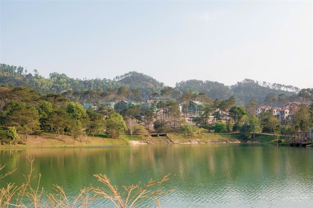 Camellia residences thanh xuân  biệt thự nghỉ dưỡng khoáng nóng hiếm tại vĩnh phúc giá 16 tỷ