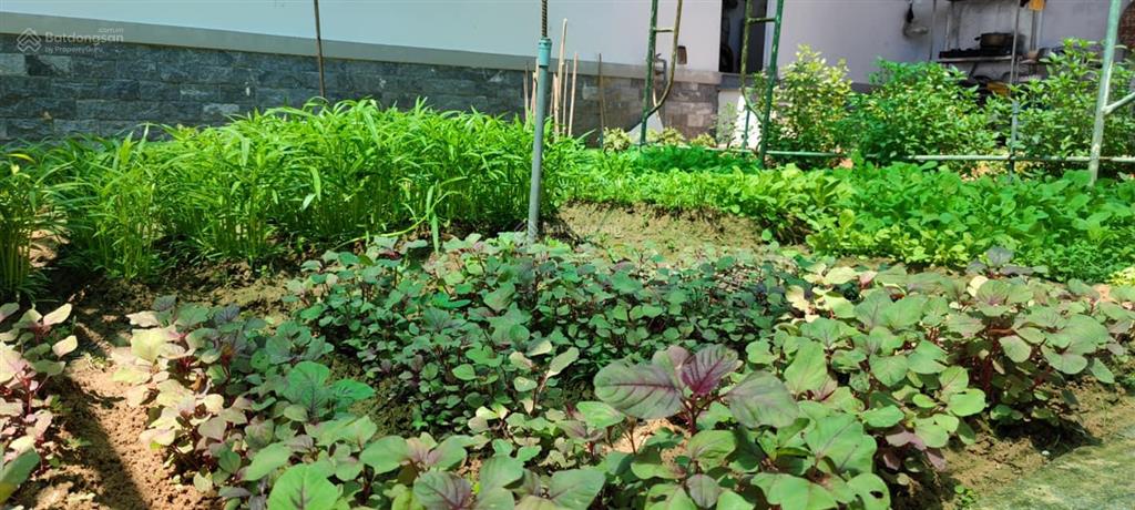 Bán nhà và trang trại ngoại ô rộng hơn 6250 m2, trong đó có 300 m2 đất ở