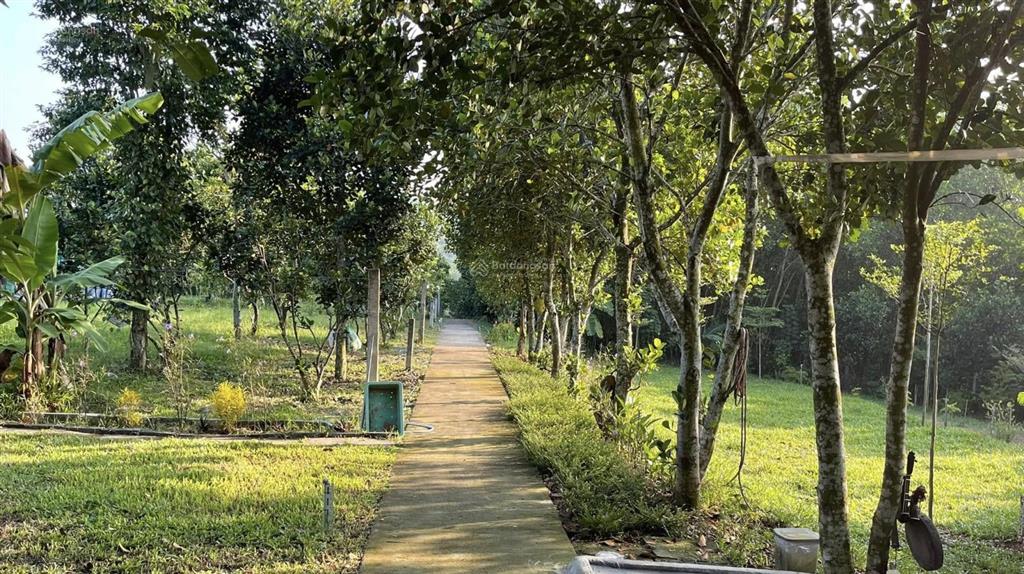 Bán nhà và trang trại ngoại ô rộng hơn 6250 m2, trong đó có 300 m2 đất ở