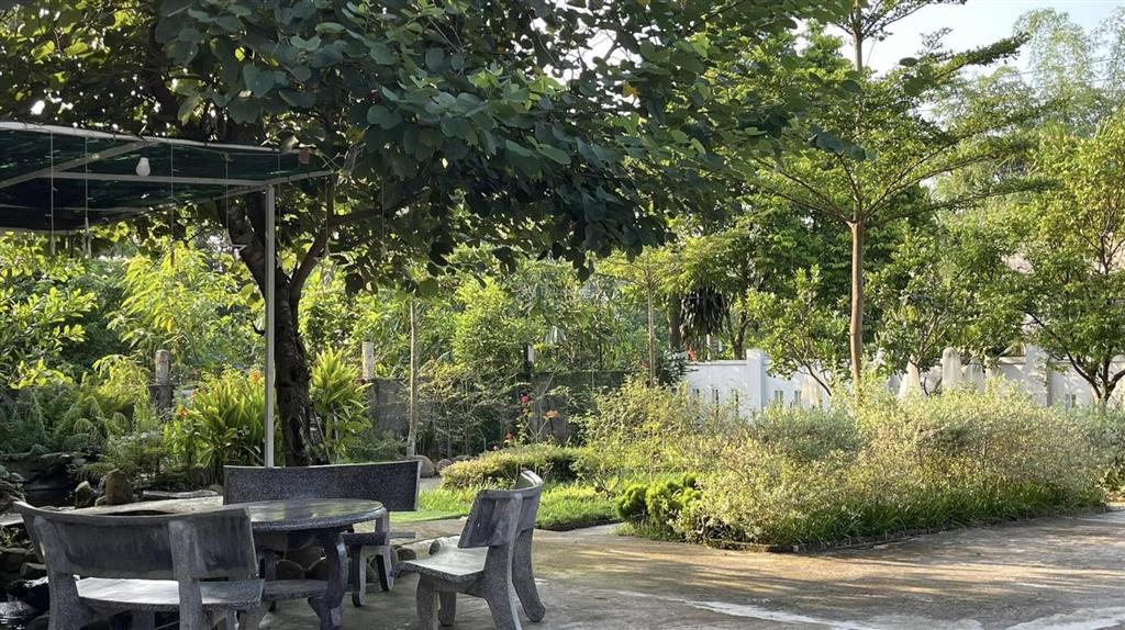 Bán nhà và trang trại ngoại ô rộng hơn 6250 m2, trong đó có 300 m2 đất ở