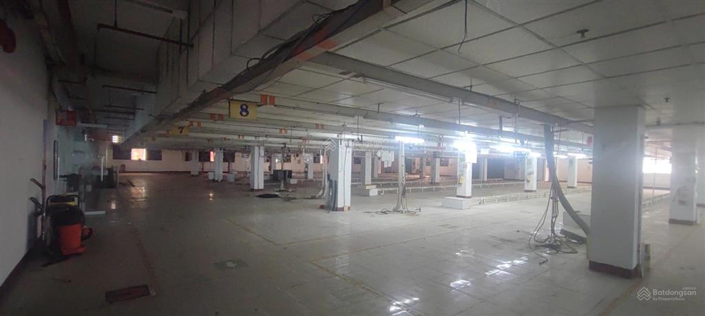 Cho thuê kho xưởng tiêu chuẩn tại kcx tân thuận, quận 7