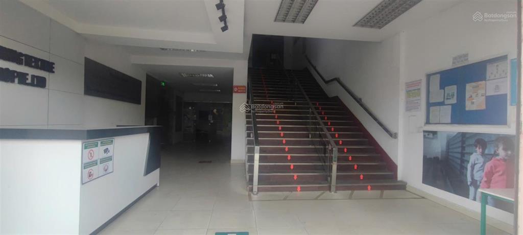 Cho thuê kho xưởng tiêu chuẩn tại kcx tân thuận, quận 7