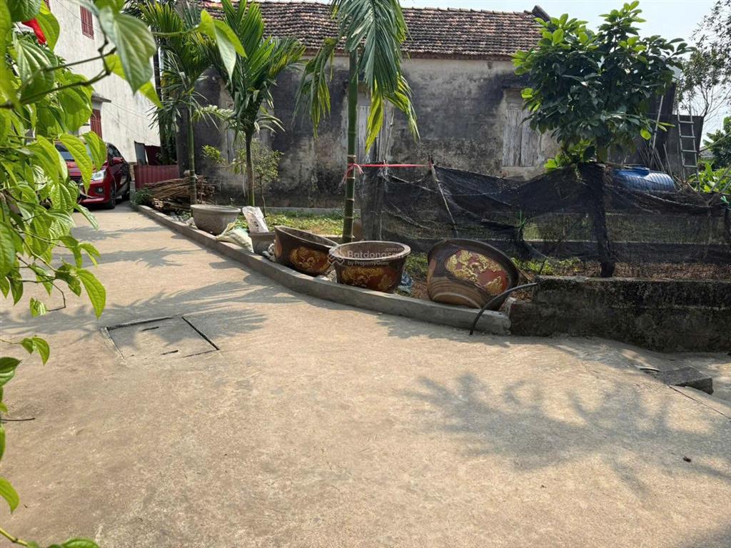 Bán đất đan kim liên nghĩa văn giang 226m2 giá 34tr/m
