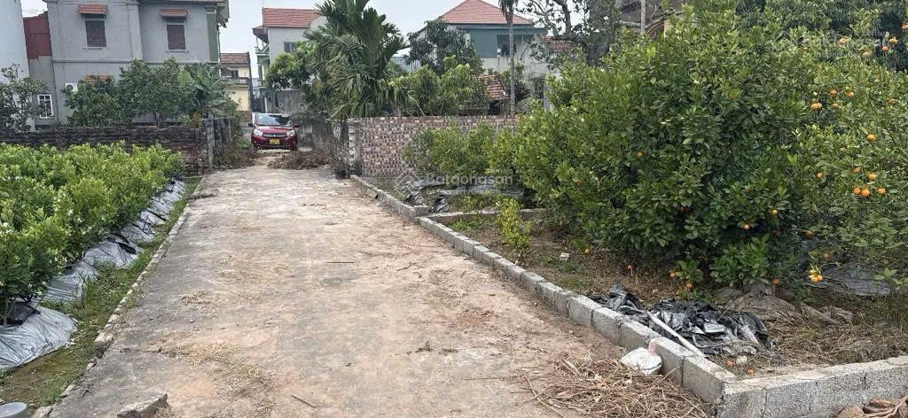 Bán đất tân dân khoái châu full thổ cư 310 m2 giá 18tr/m