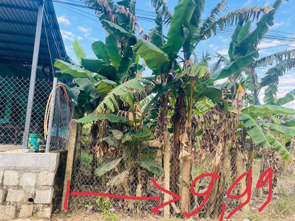 Bán đất thôn Mỹ Lợi giá chỉ 2,4tr/m2 xã Nam Ninh Hòa Khánh Hòa 0985451850