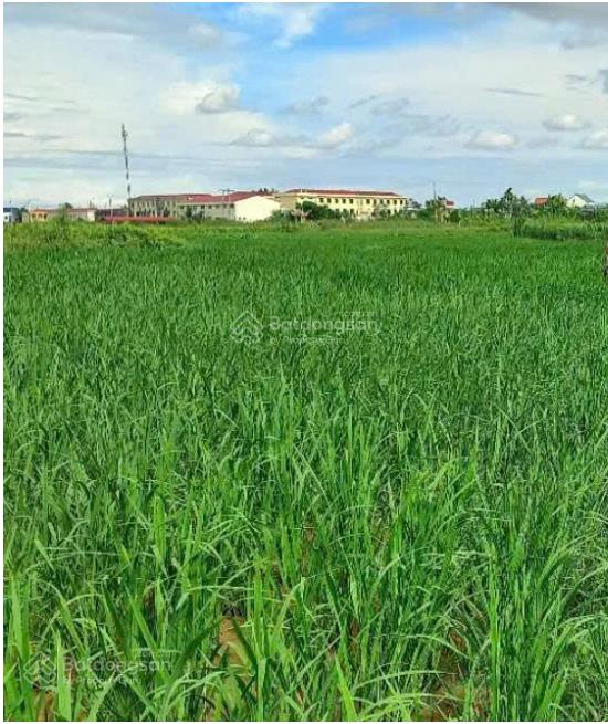 Bán 7 sào ruộng kiến thiết kiến thụy hải phòng