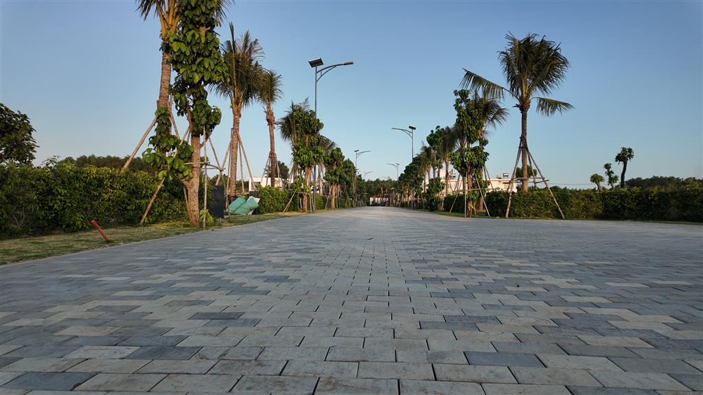 60 Phút Rời Phố Về Biển: Sở Hữu 500m² Biệt Thự Phước Hải  SHR Nghỉ Dưỡng Chuẩn Resort 5