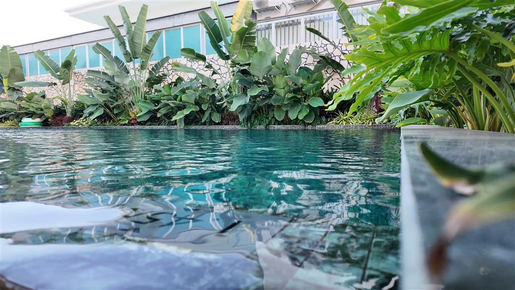 Bán đất 500m² Villa Compound gần Biển Phước Hải Giá 6triệu/m² công chứng ngay