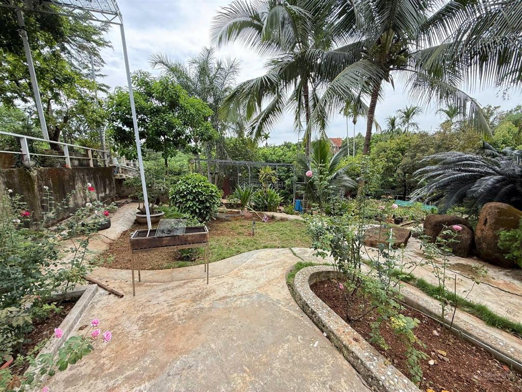 Giảm ngay 10 tỷ! bán nhà yến 6 tầng 1.753,5m², 2 mặt tiền, gần trung tâm buôn ma thuột, giá tốt