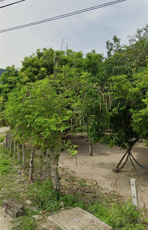 Bán đất ninh vân cũ, phường đông ninh hòa sẵn 1000m2 thổ cư, hướng biển, cách biển chỉ 50m