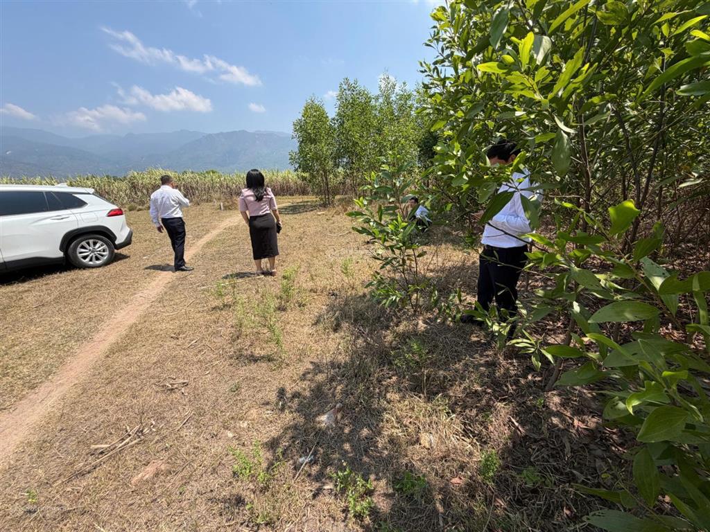 Bán đất thôn 1, xã hòa trí, khánh hòa (xã ninh thượng, ninh hòa cũ) giá chỉ 4.2tr/m2