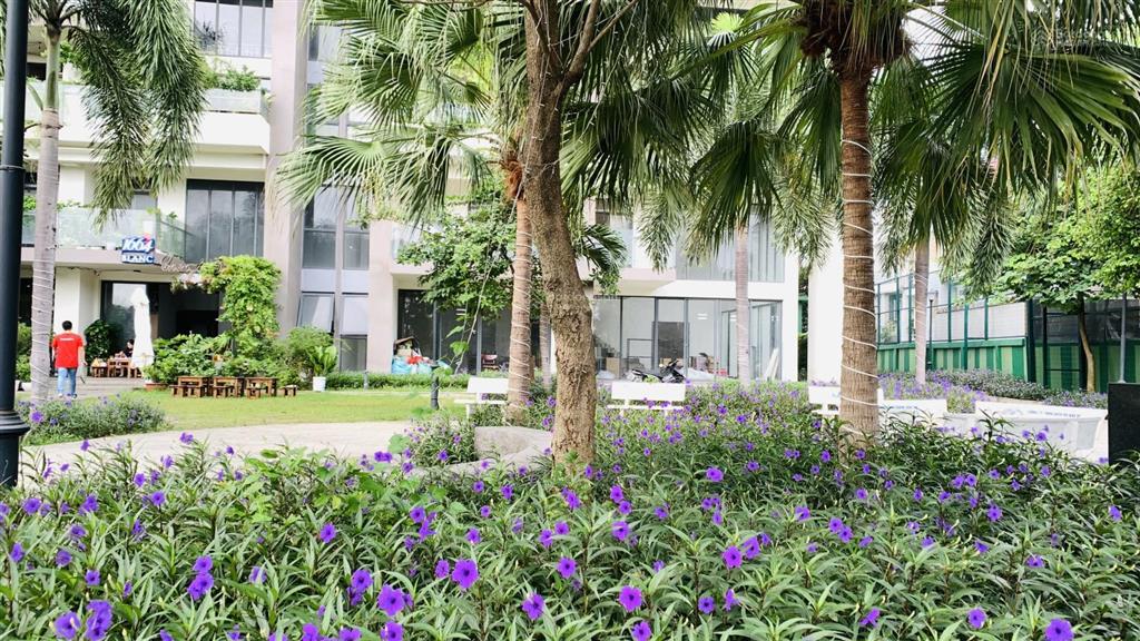 Bán chung cư la astoria 3, 1pn, căn duplex 45m2