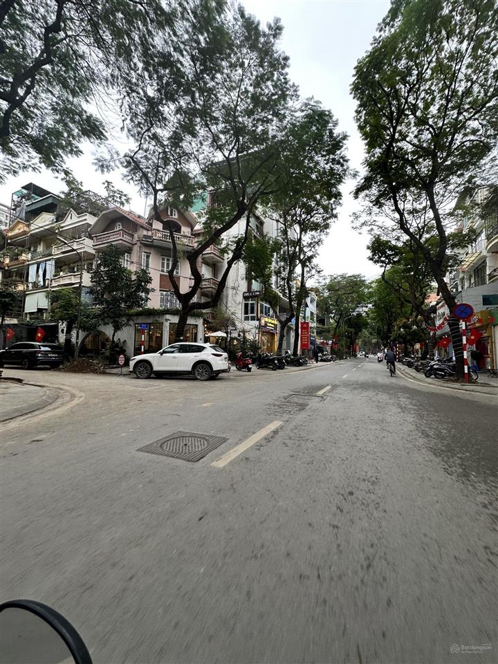 Toà văn phòng hiện đại  vũ phạm hàm  8t (1 hầm, 6 nổi + 1 tum)  mt bề thế  kd đỉnh