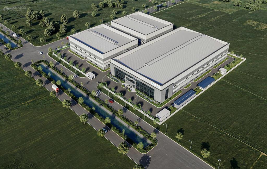 Cho thuê nhà xưởng 5.000m vị trí đẹp tại hải phòng phù hợp doanh nghiệp fdi, sản xuất & kho vận