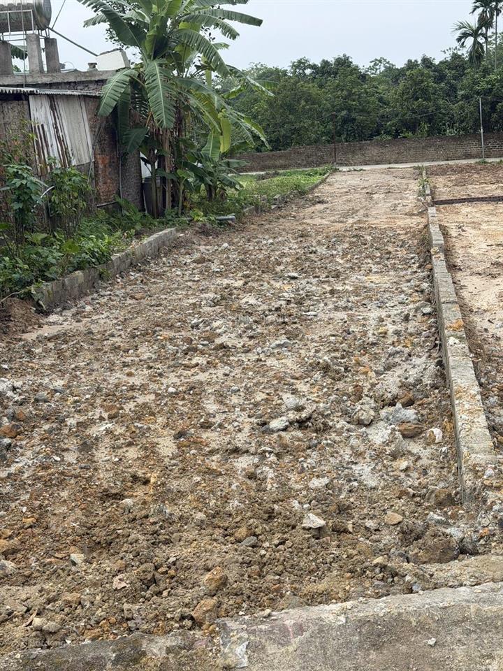 Bán gấp lô đất 123,4m2 full thổ cư, mặt đường nhựa rộng 10m, tại thôn thụy an, xã quảng oai
