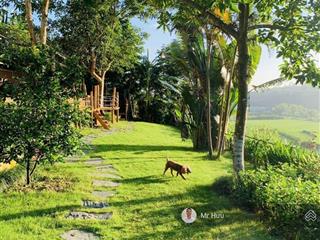 Hàng đặc biệt!
1200m  mặt tiền gần 60m  làm full  view cánh đồng