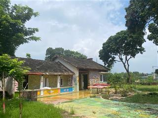 Chưa đến 2 tỷ sở hữu lô đất có sẵn nhà cấp 4 tại yên bài