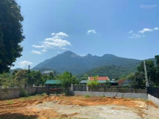 Bán siêu phẩm đất nghỉ dưỡng xã yên bài 1136m2