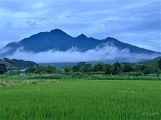 Bán lô đất nghỉ dưỡng 3 mặt tiền view cánh đồng tại yên bài