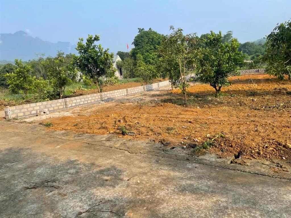 Bán lô đất đẹp, xã yên bài, giá đầu tư
