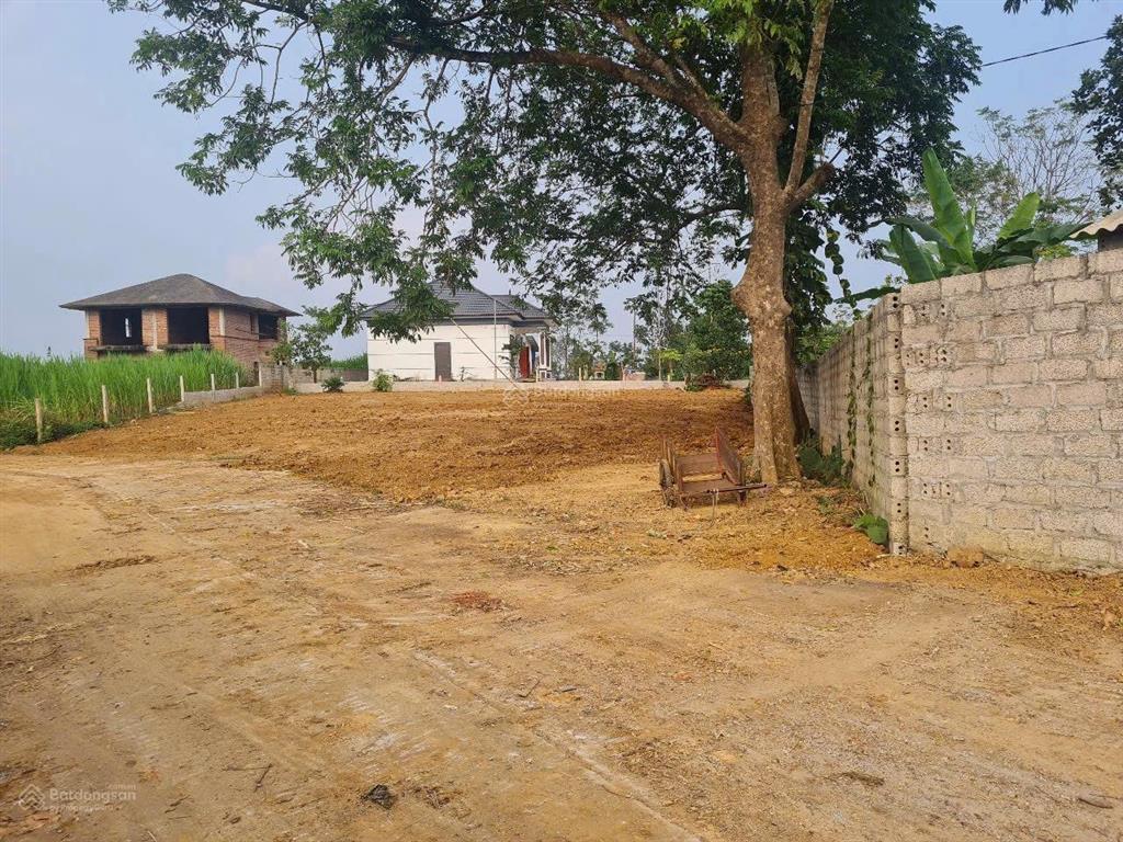 Bán lô đất nghỉ dưỡng đẹp giá tham khảo tốt trong khu vực xã yên bài