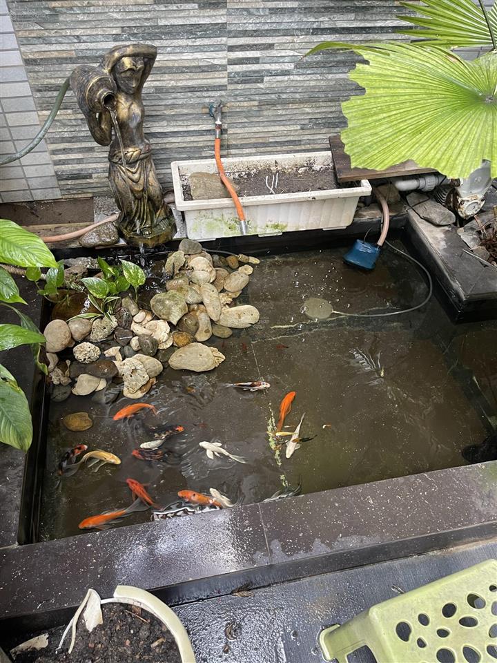 Nhà phố + dòng tiền đều đặn tại khu ô bàn cờ bắc nha trang
