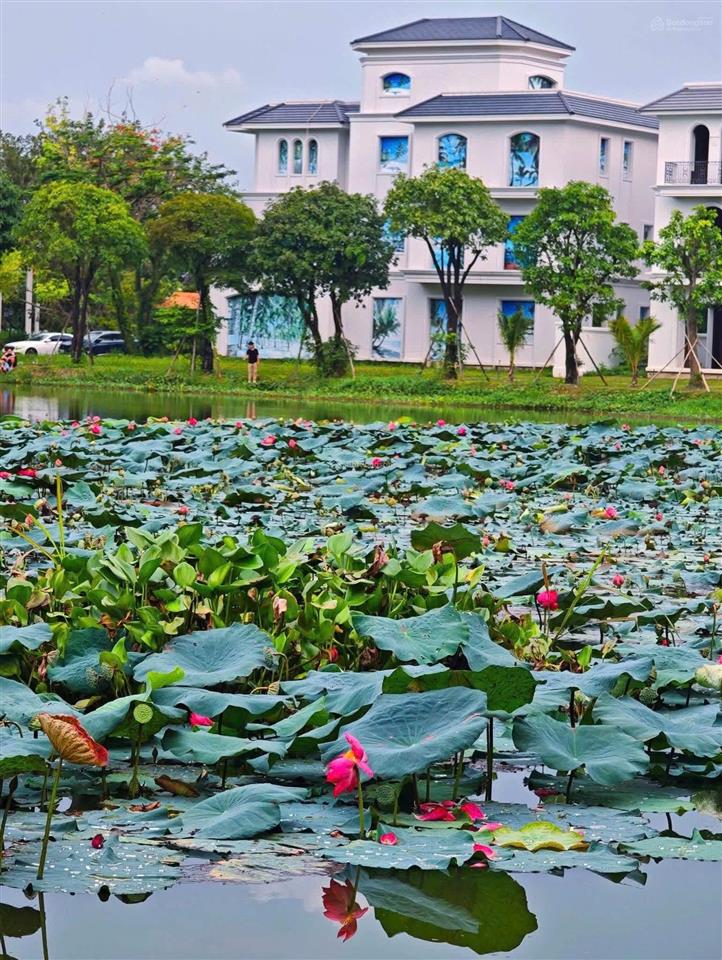 Bán biệt thự đơn lập  riêng chỉ còn 01 căn hiếm có  hàng cđt tại vinhomes grand park