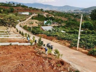 Bán 8803m2 tại xã nam ban lâm hà . sổ hồng sẵn 222m2 thổ cư