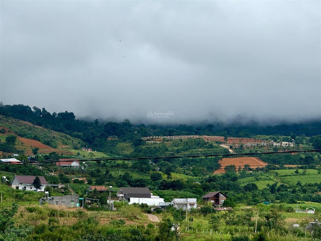 Chỉ 620 triệu . sổ hồng 215m2 . view 360 độ núi voi , rừng thông nghỉ dưỡng và đầu tư