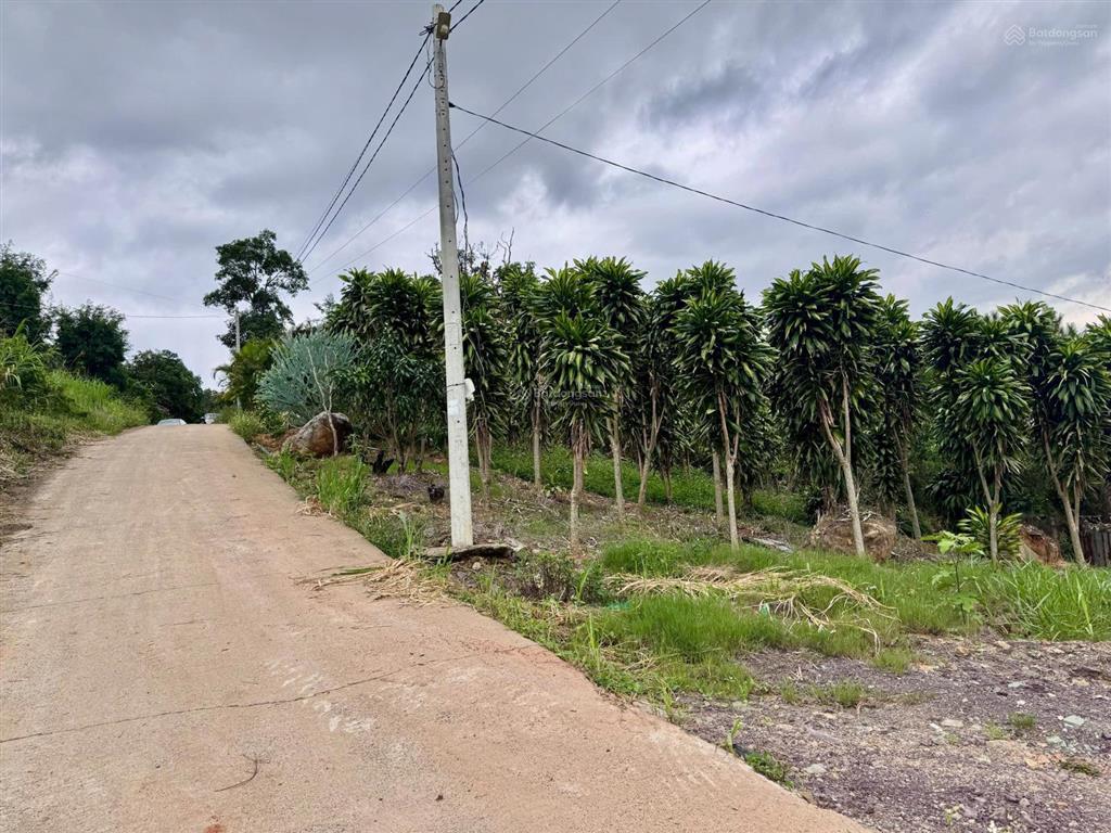 Ngay kdl thác 7 tầng đông thanh. sổ hồng 7808m2. đường oto vào tới đất
