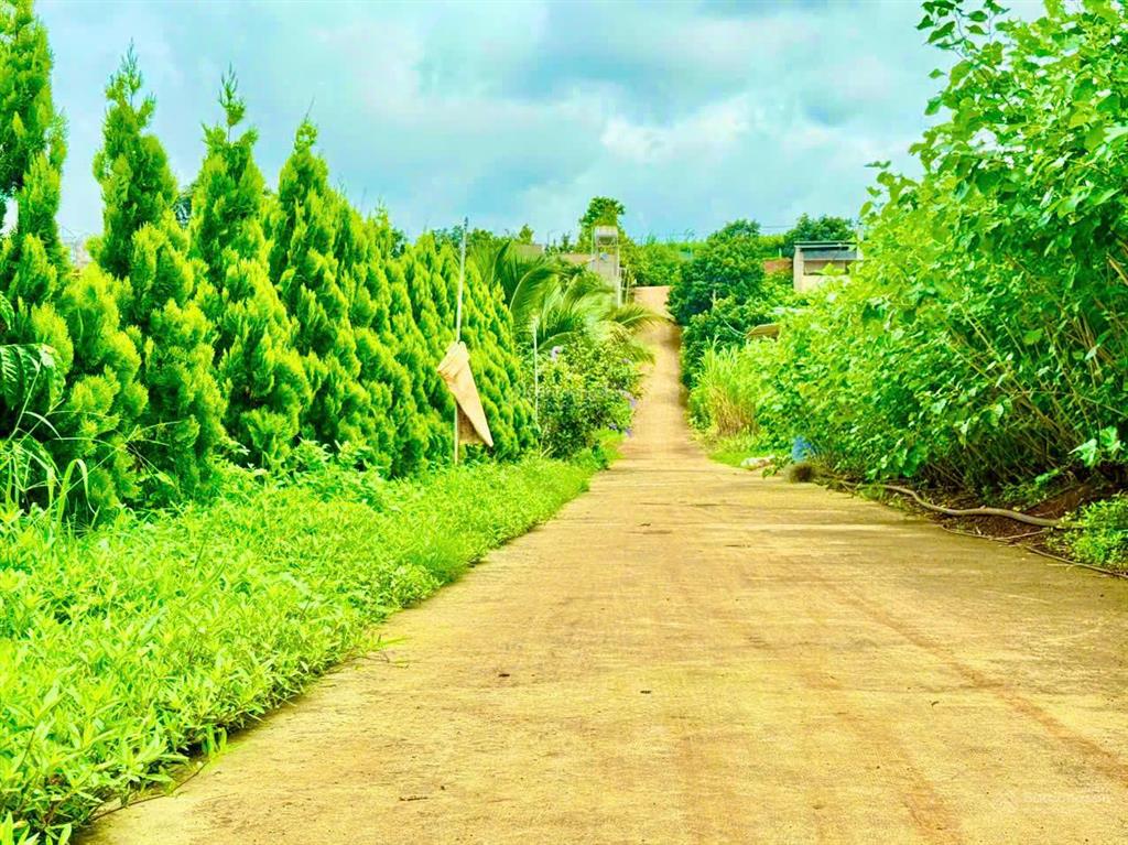 Bán 3982m2 ôm suối đẹp, nhựa đông thanh (600m). mặt tiền 120m, có sẵn thổ cư