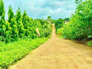 Bán 3982m2 ôm suối đẹp, nhựa đông thanh (600m). mặt tiền 120m, có sẵn thổ cư