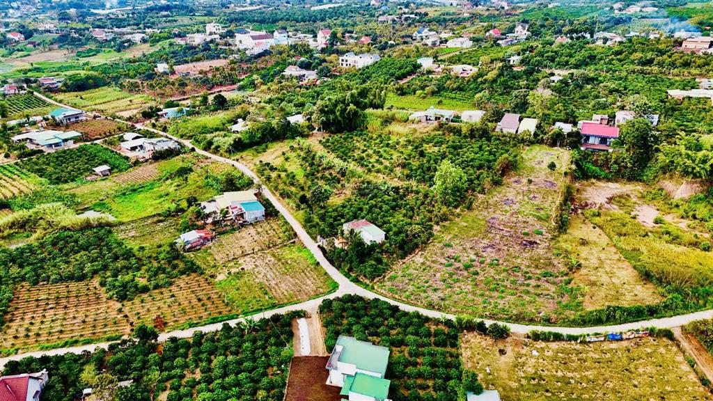 Chỉ 450 triệu  sổ hồng riêng 125m2 . cách trung tâm đà lạt chỉ 25km
