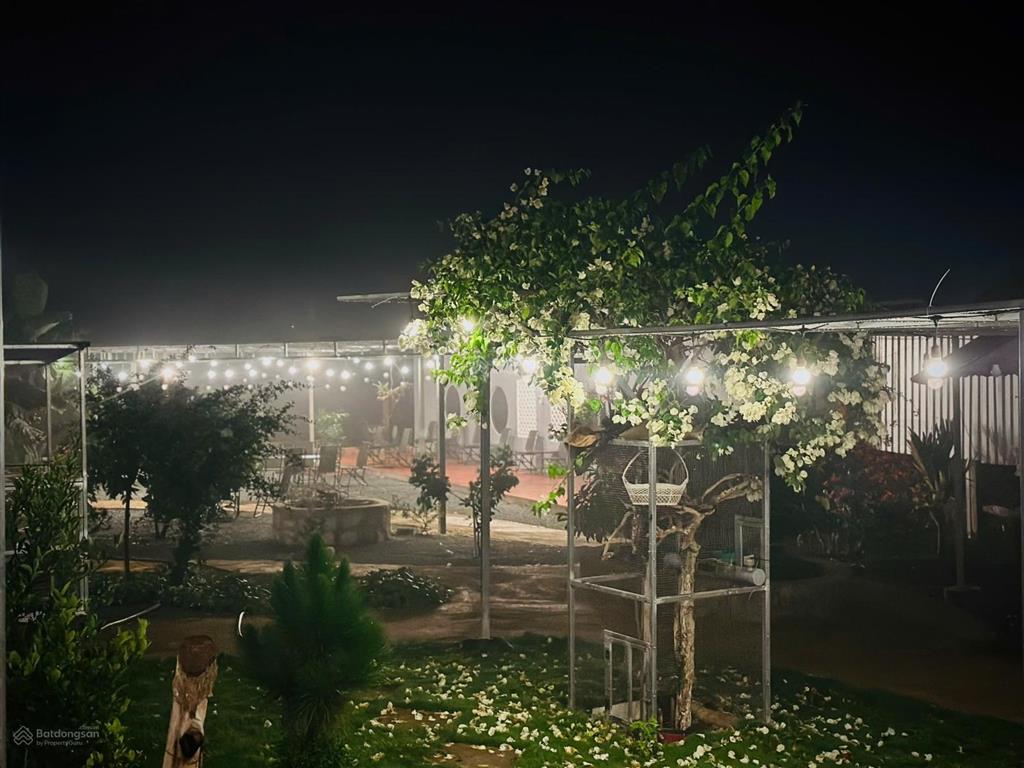 Bán nhà vườn, có quán cafe đẹp. có sẵn 500m2 thổ cư xây dựng