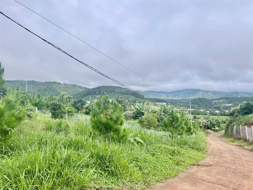 Cách chợ đà lạt 29km . chỉ 550 triệu / 317m2 sẵn thổ cư , view đẹp , đường ô tô